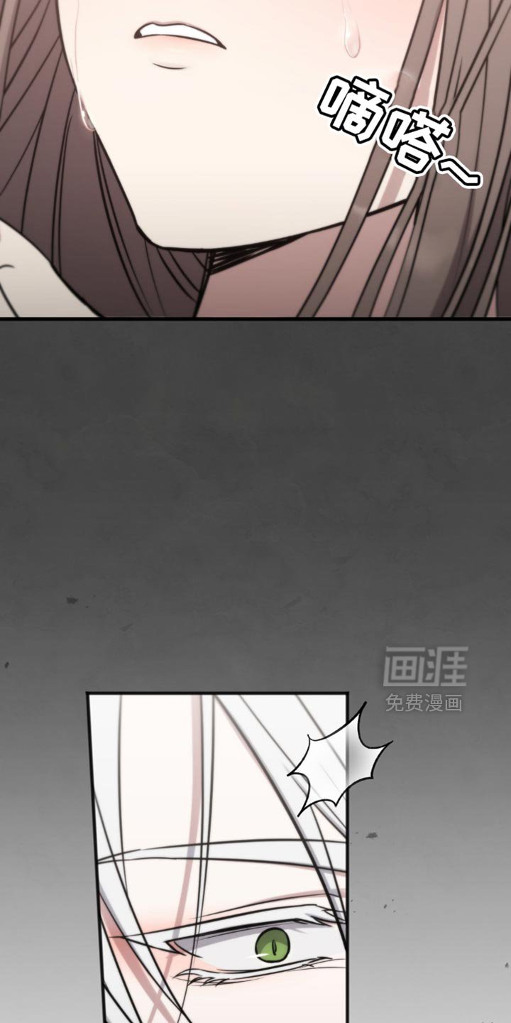 第29章：动摇了我的心