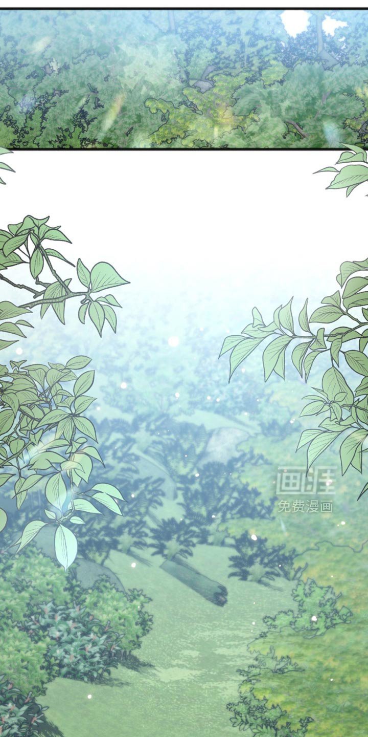 第31章：笨蛋