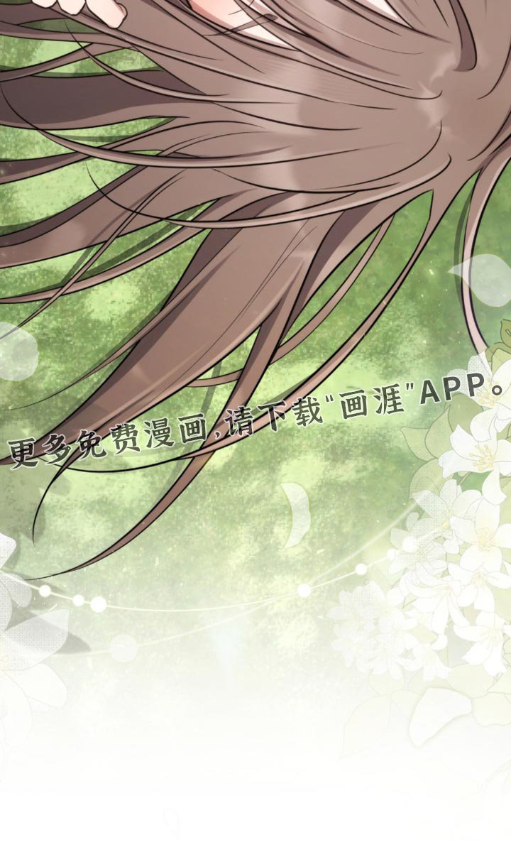 第31章：笨蛋