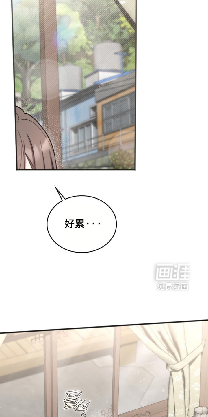 第43章：我得回去一趟了