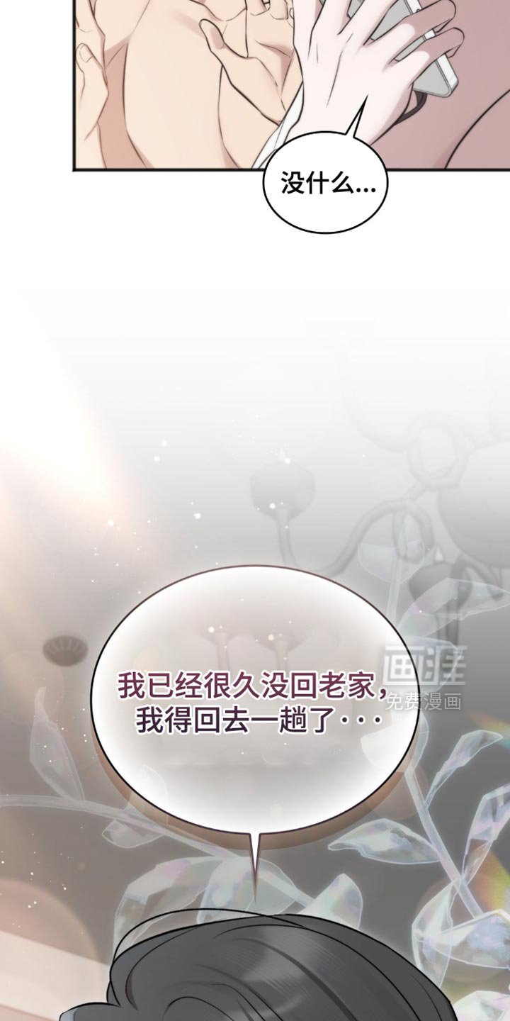 第43章：我得回去一趟了