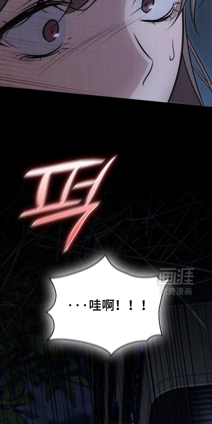第46章：跟踪者