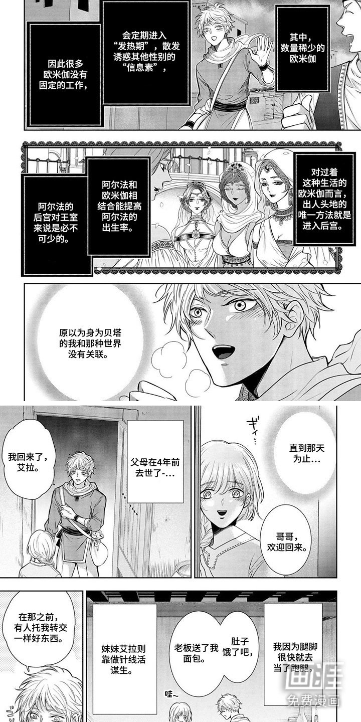 第1章：沙漠之镇