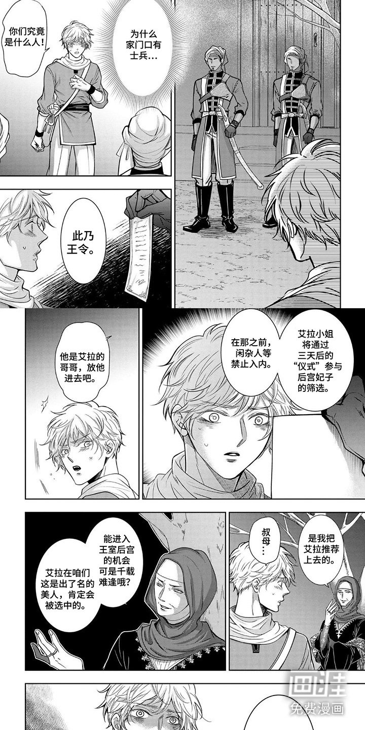 第3章：选妃仪式