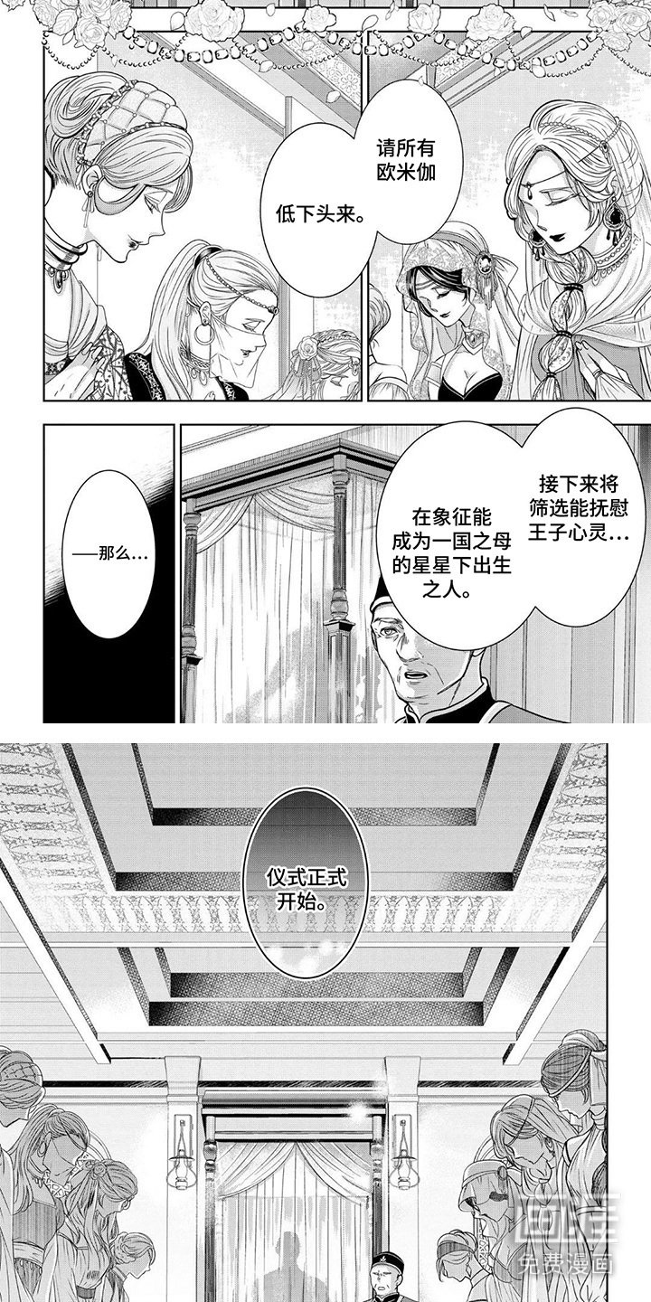 第3章：选妃仪式
