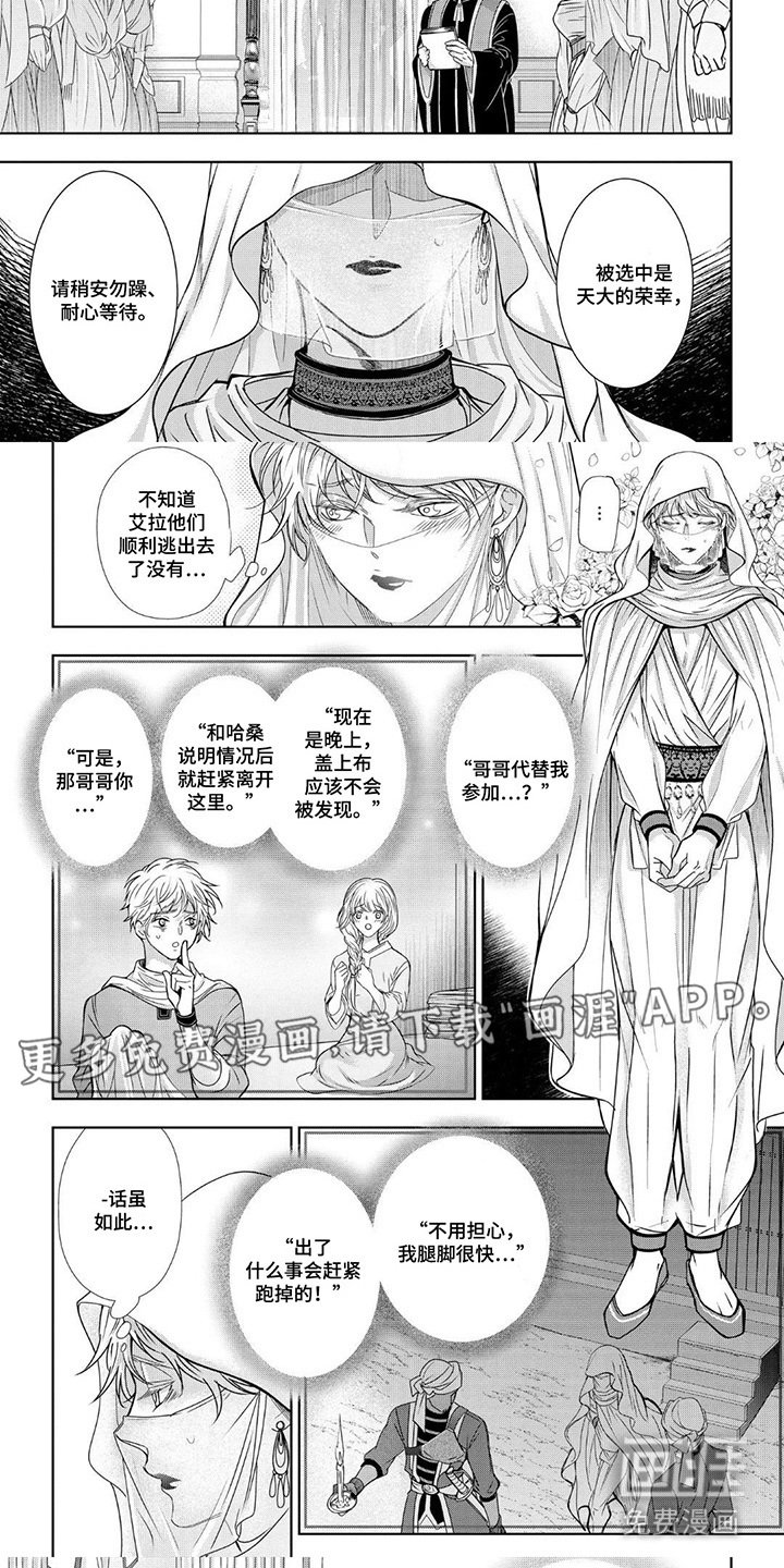 第3章：选妃仪式