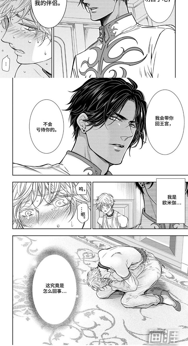 第4章：信息素