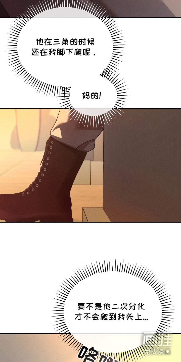第12章：要小心