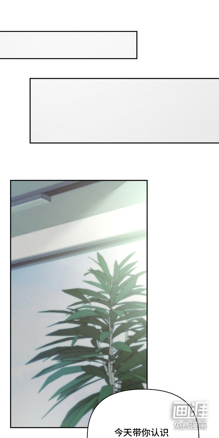 第13章：从天而降