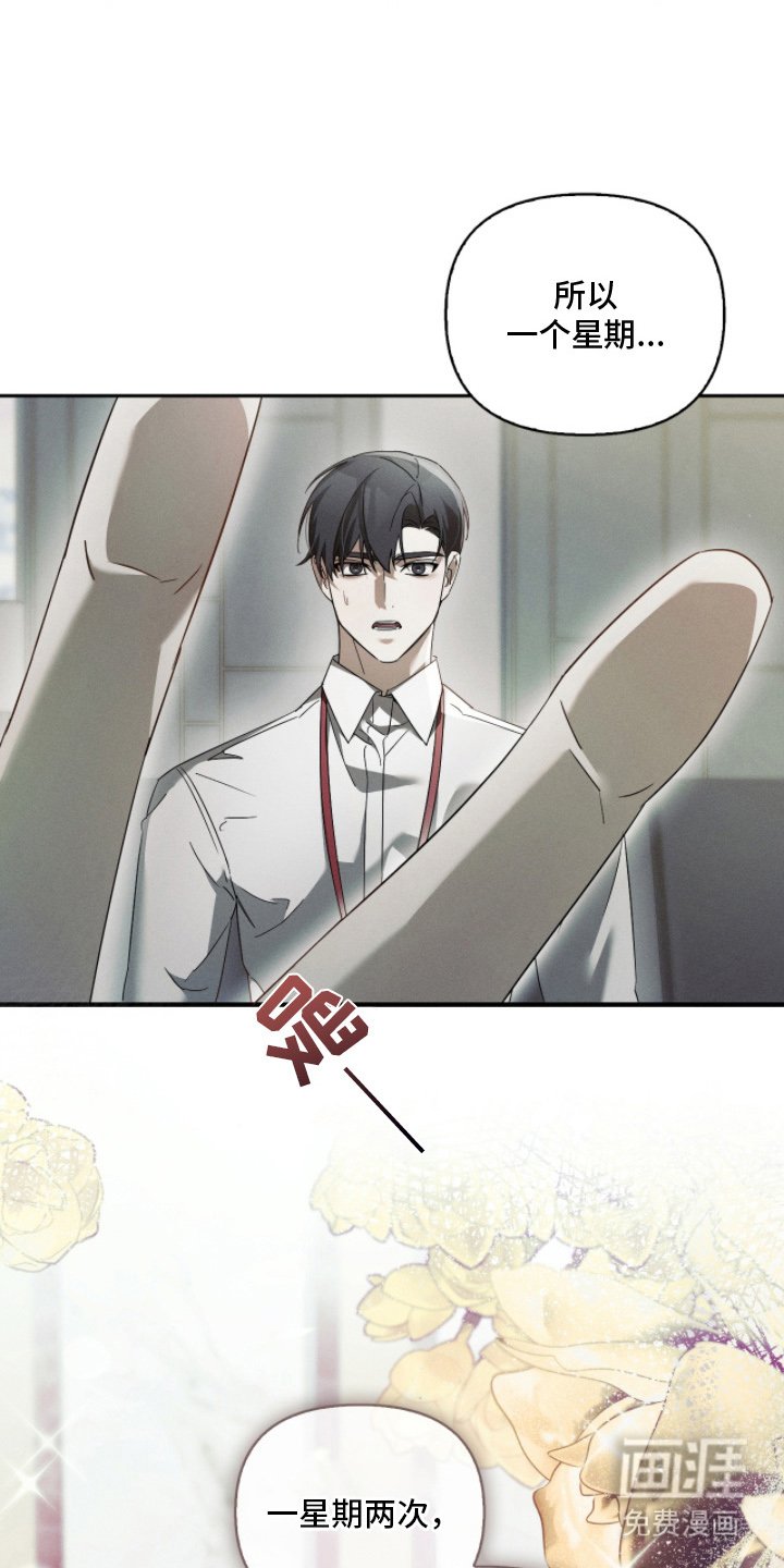 第15章：想做什么