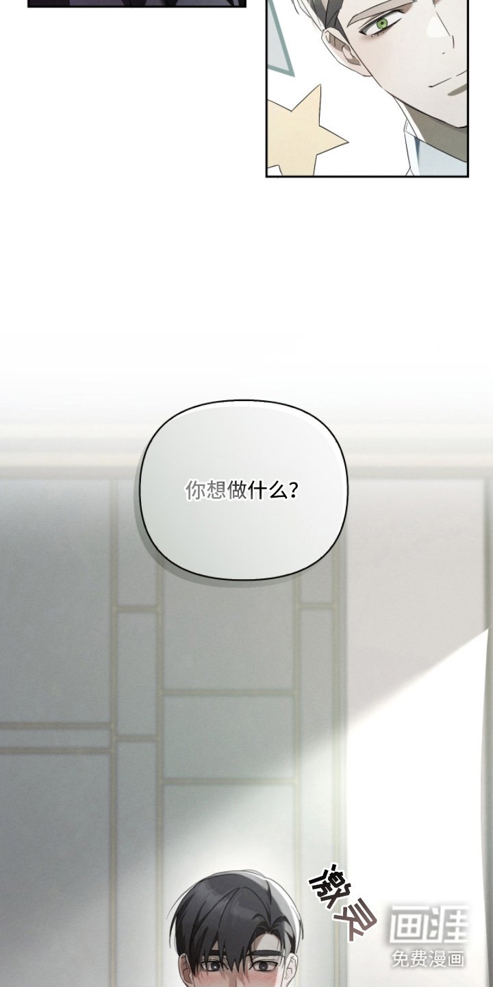 第15章：想做什么