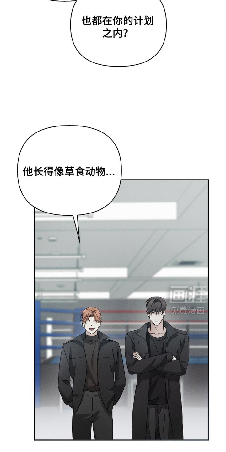 第26章：更加强大