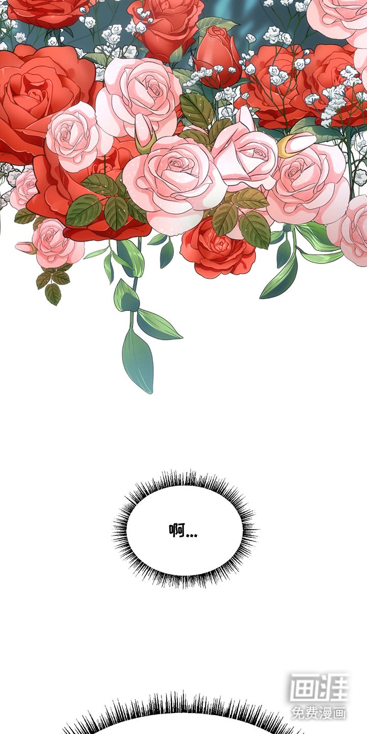 第1章：第3227张照片