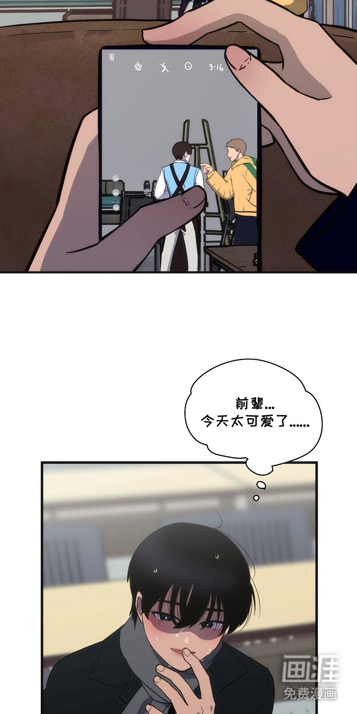 第1章：第3227张照片