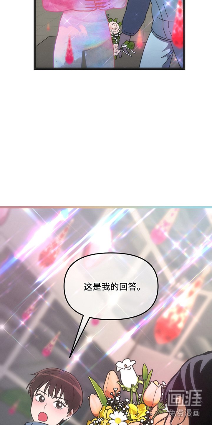 第28章：我的回答