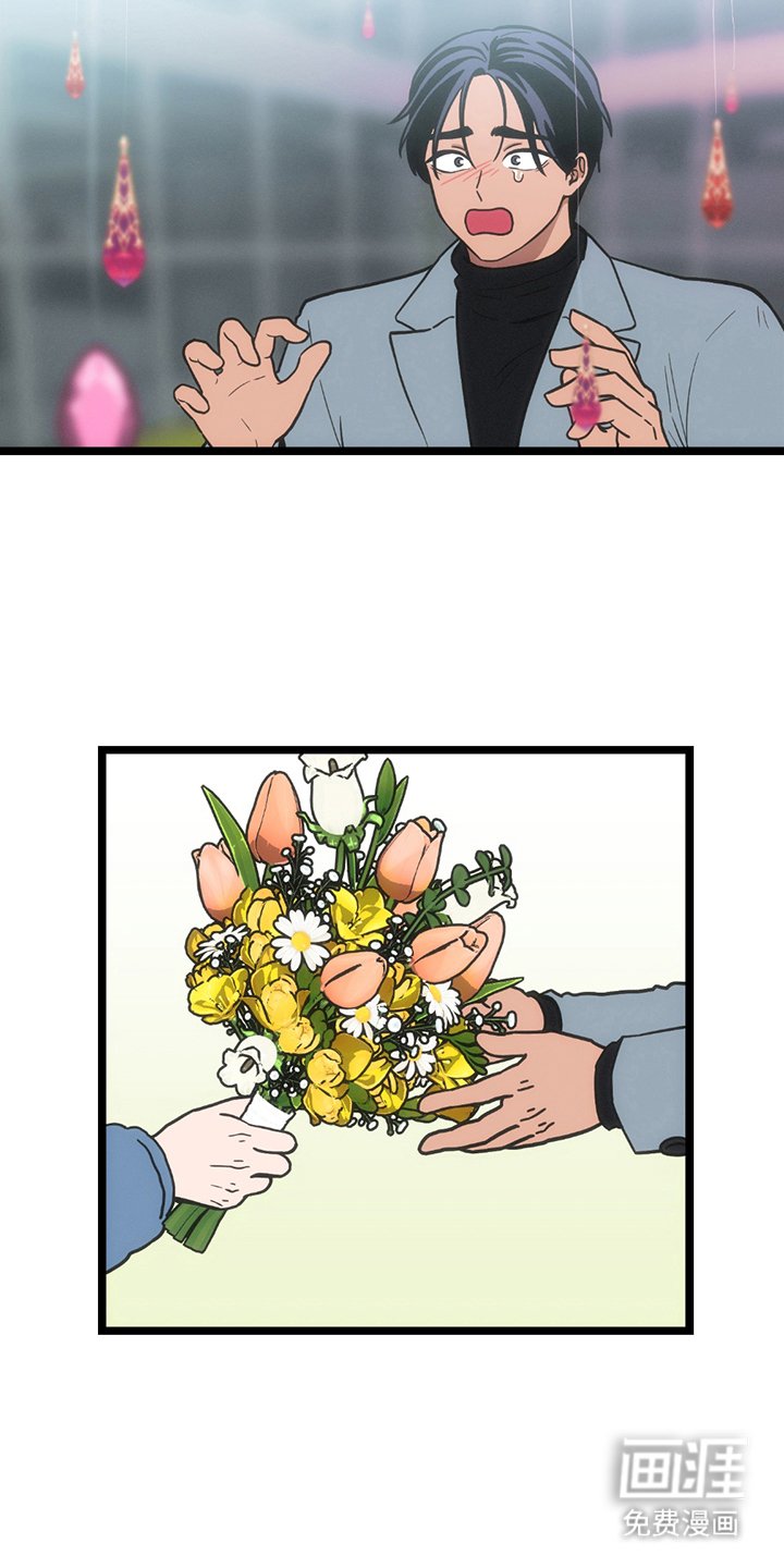 第28章：我的回答