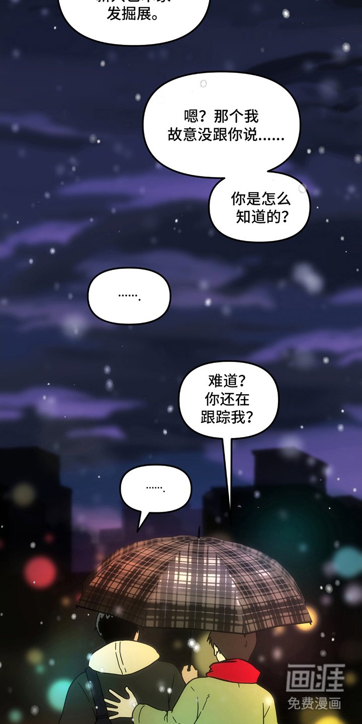 第28章：我的回答