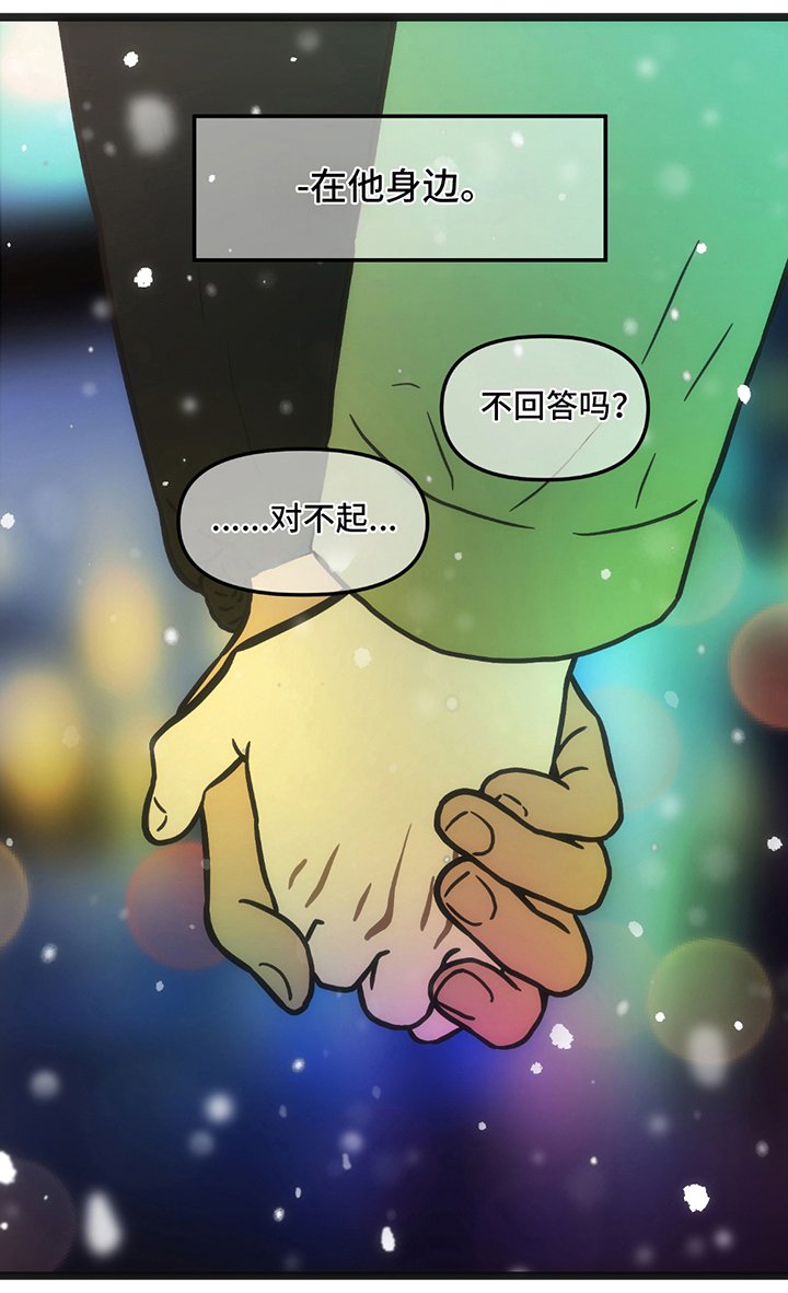 第28章：我的回答