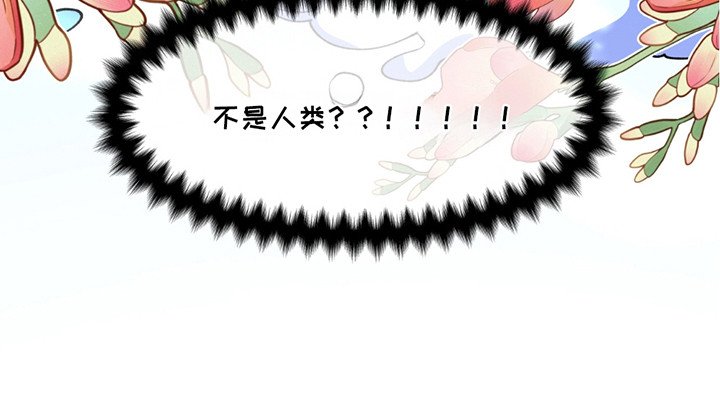 第11章：开业