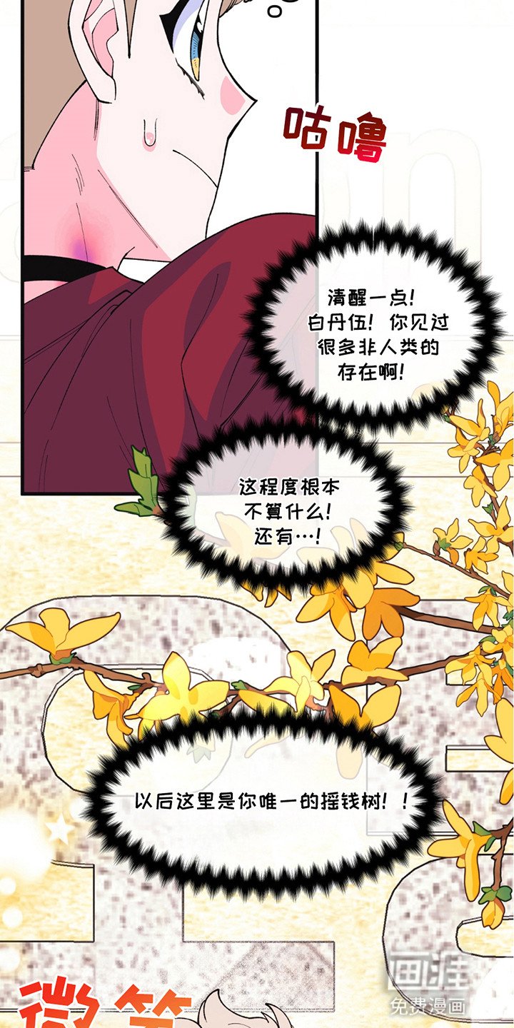 第11章：开业