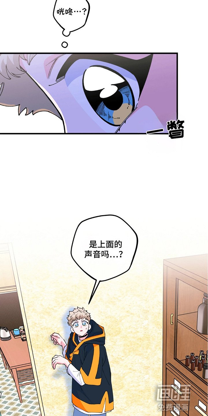 第15章：无法直视
