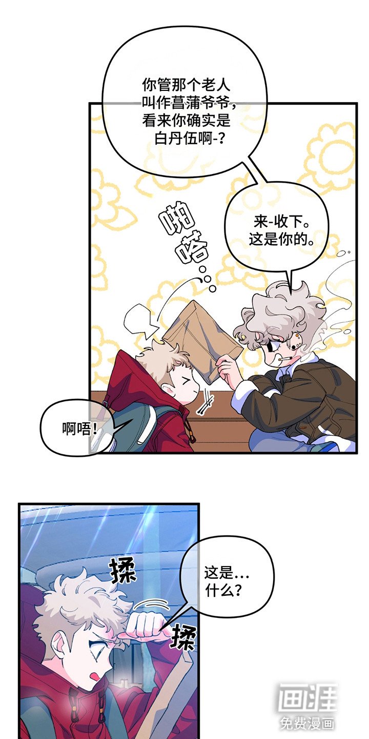 第4章：遗产