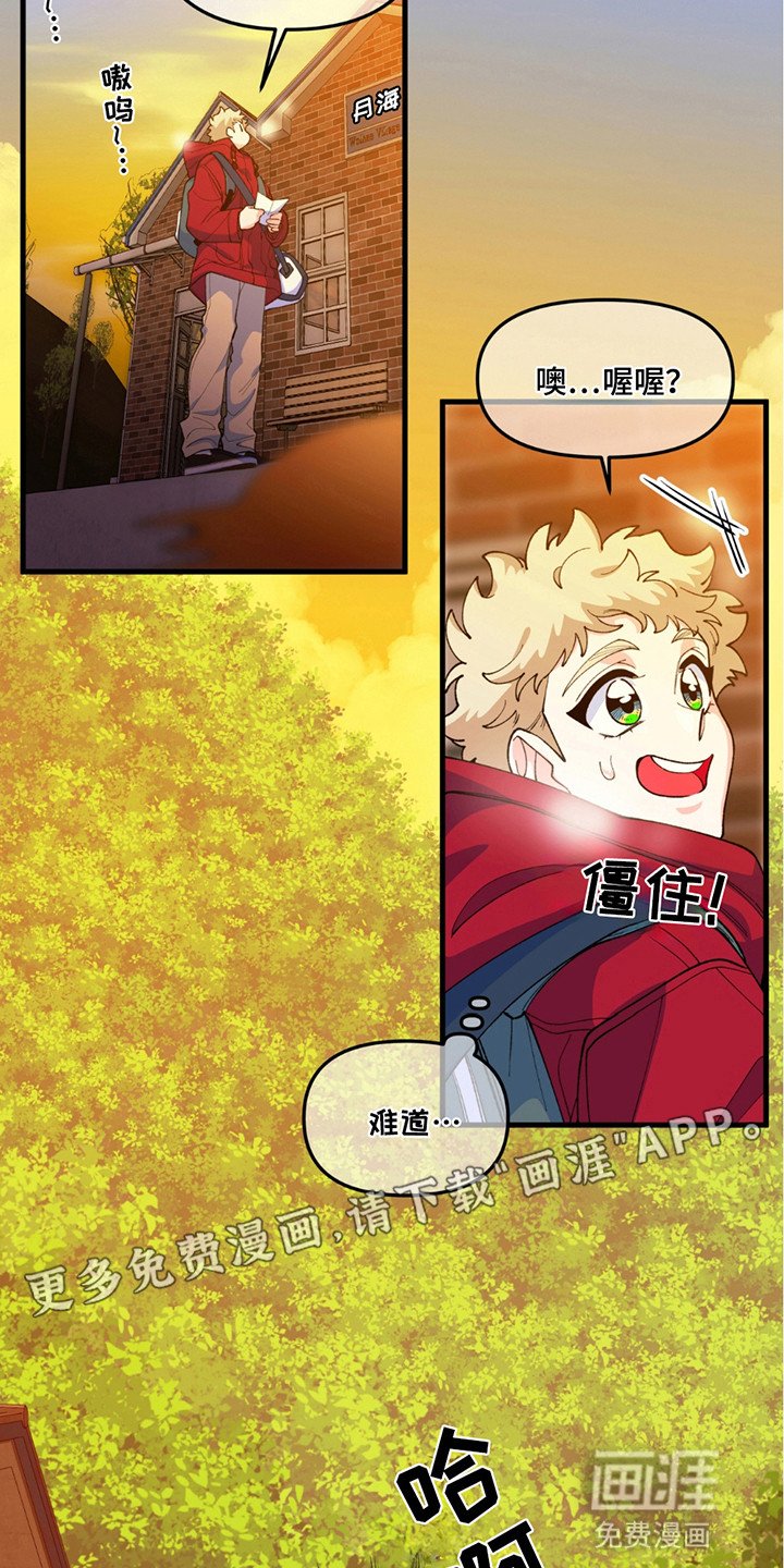 第4章：遗产