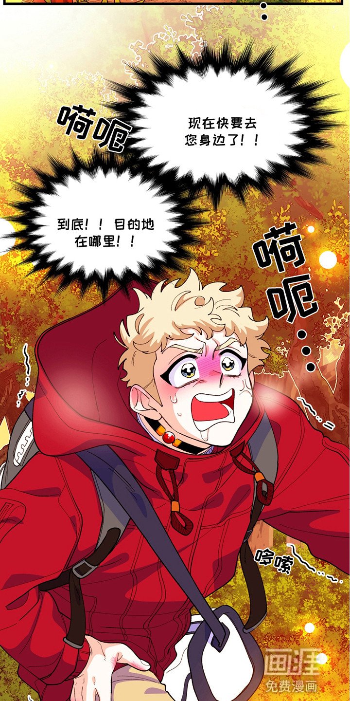 第4章：遗产