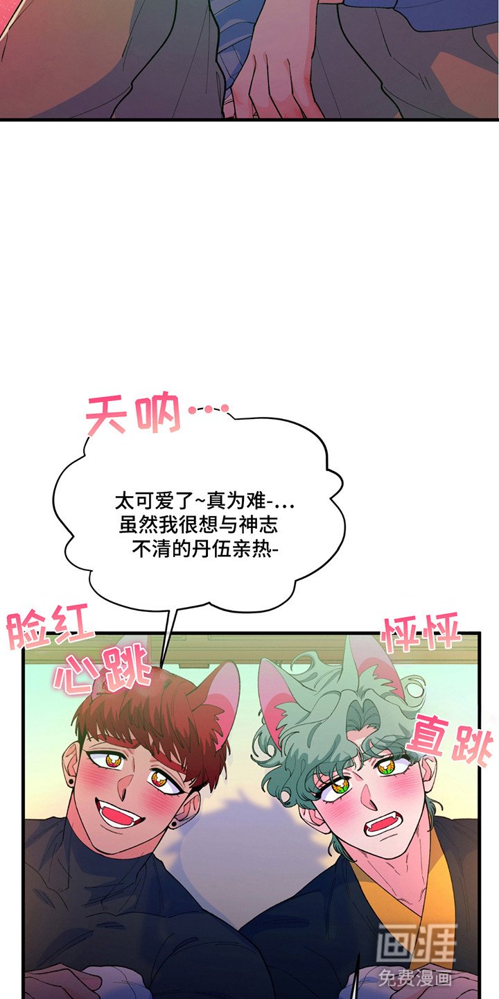 第7章：原因