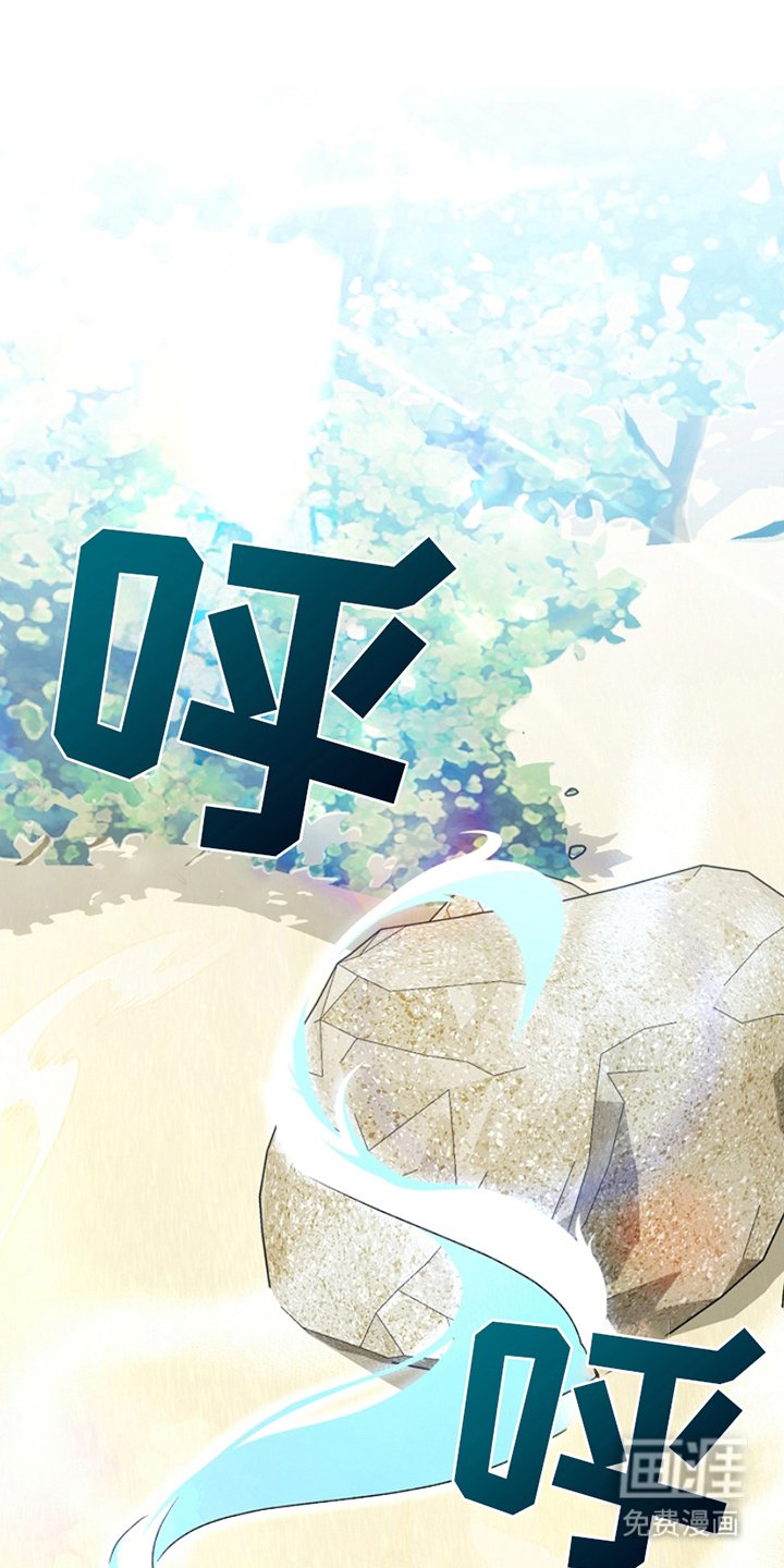 第5章：公开装备