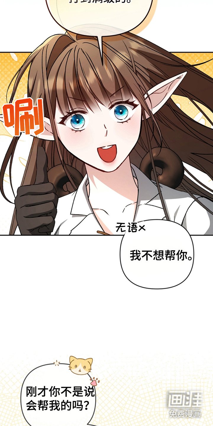 第5章：公开装备
