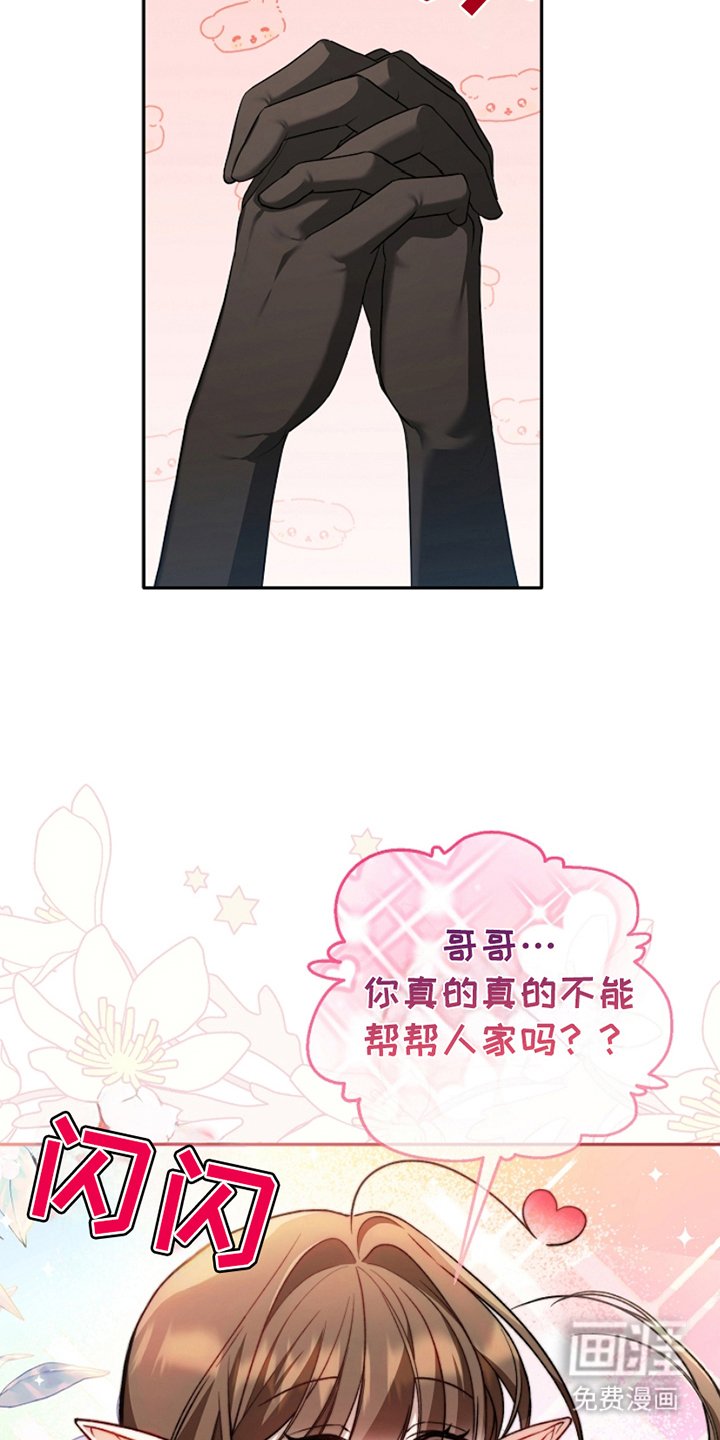 第5章：公开装备