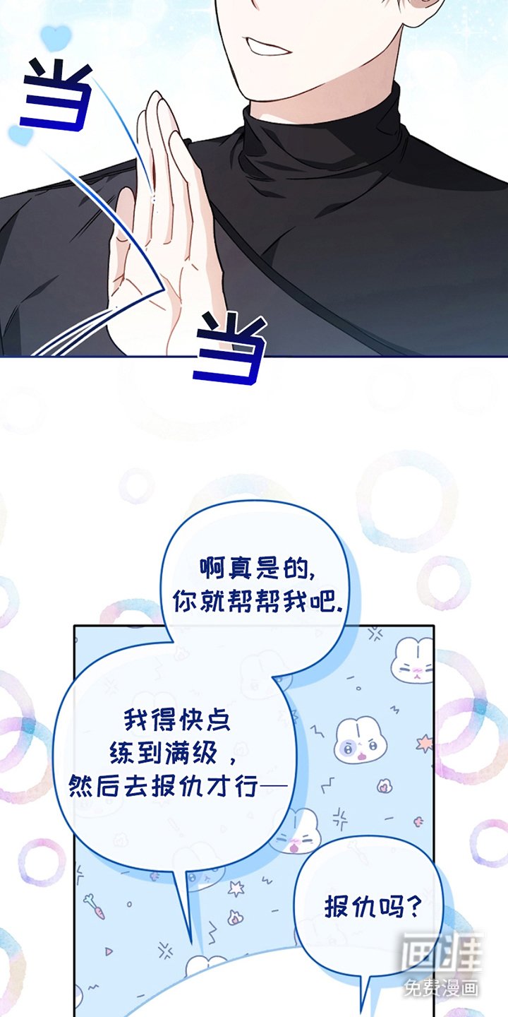 第5章：公开装备