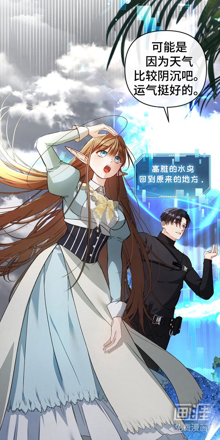 第7章：偷袭