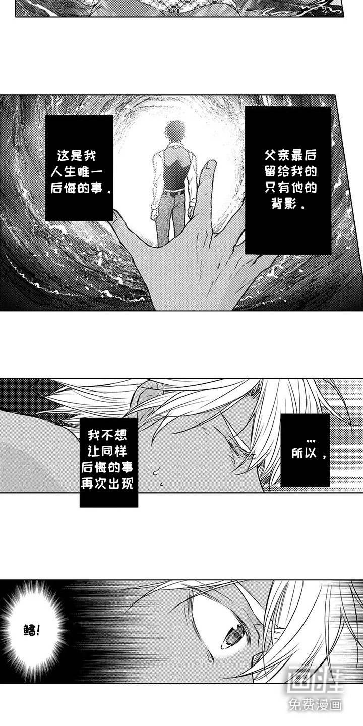 第28章：分出胜负