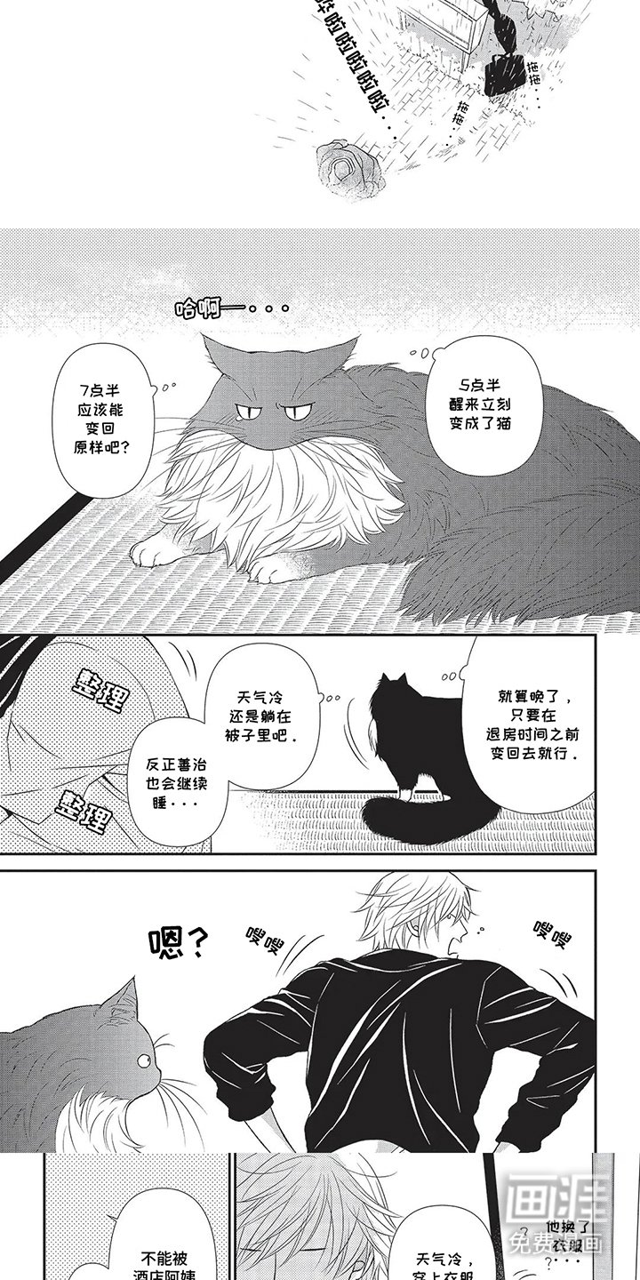 第15章：出去散步