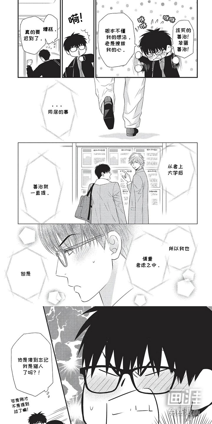 第4章：不变猫的方法