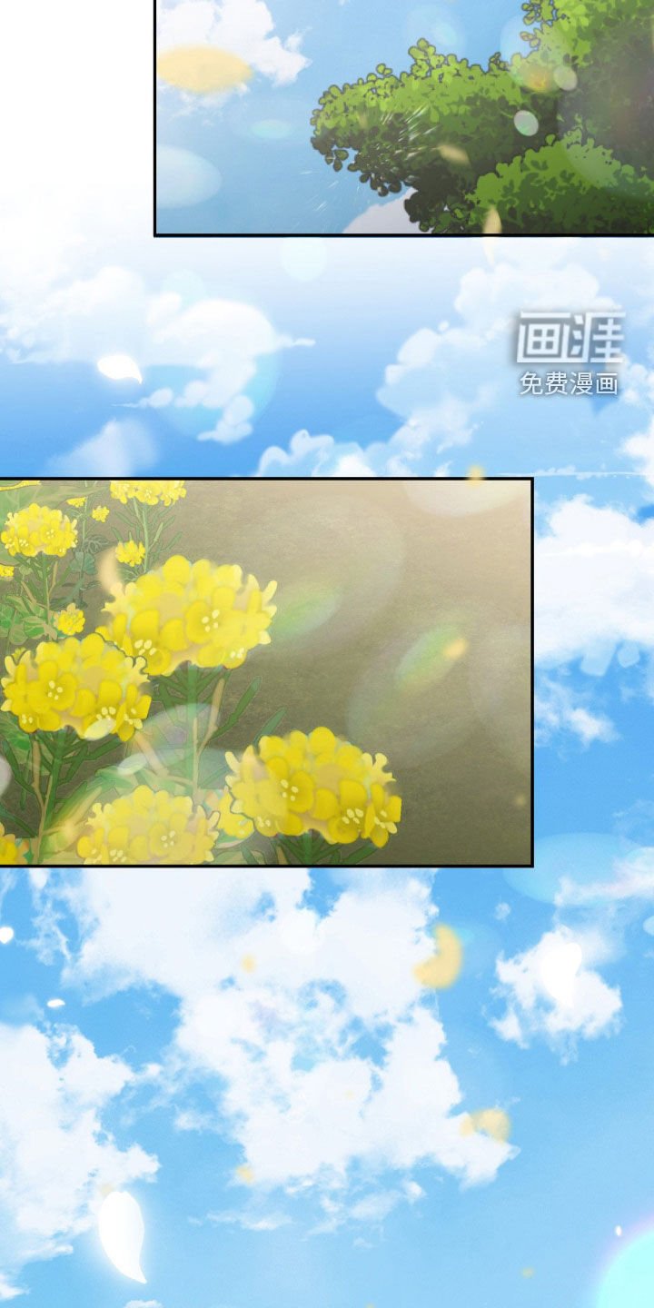 第14章：心动