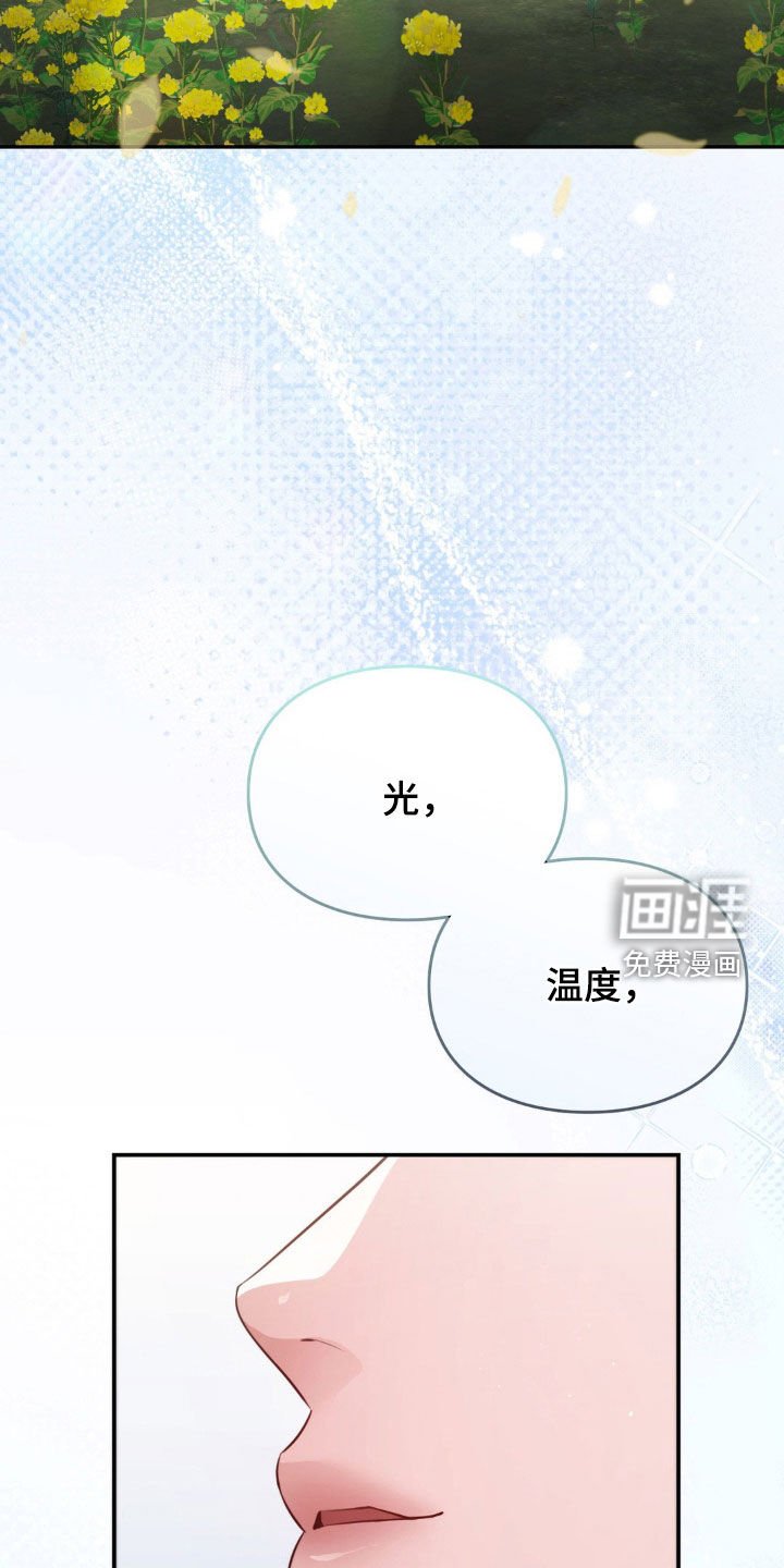 第14章：心动