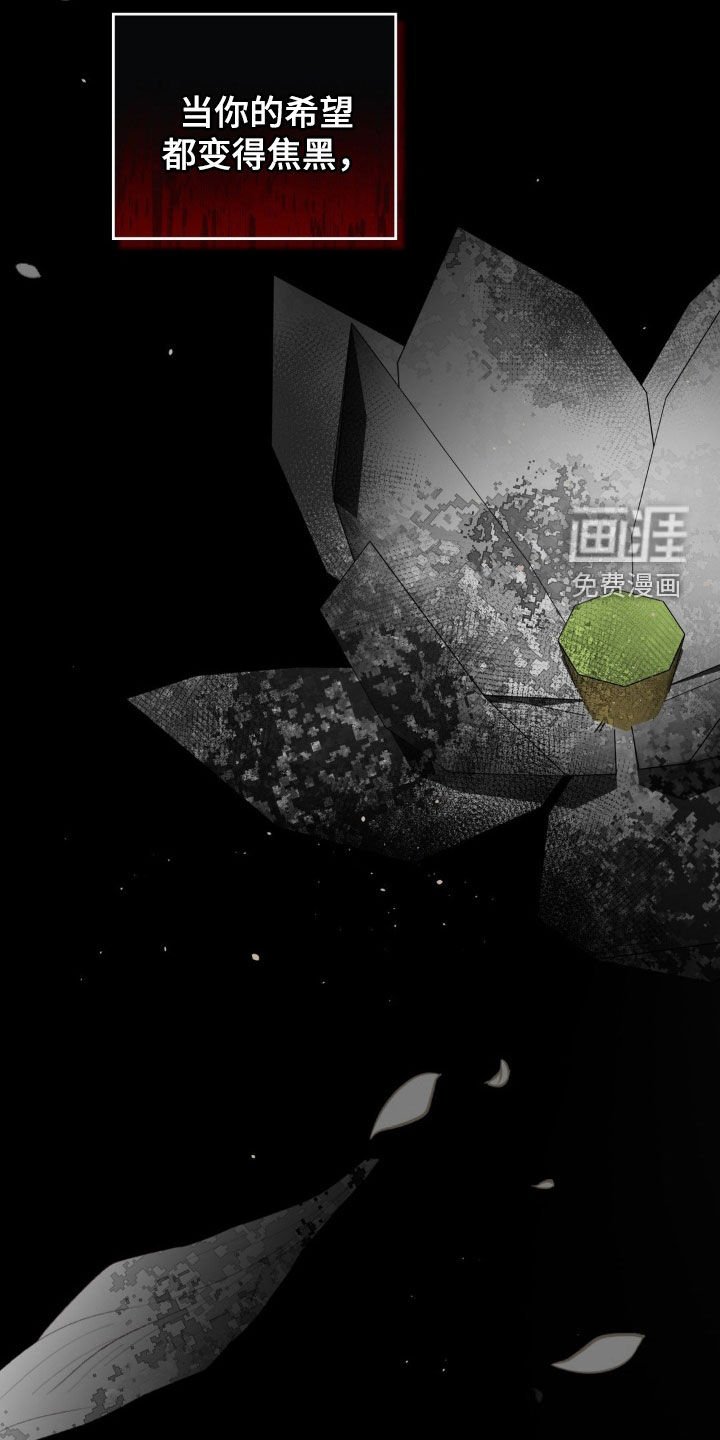 第42章：最后的曲子