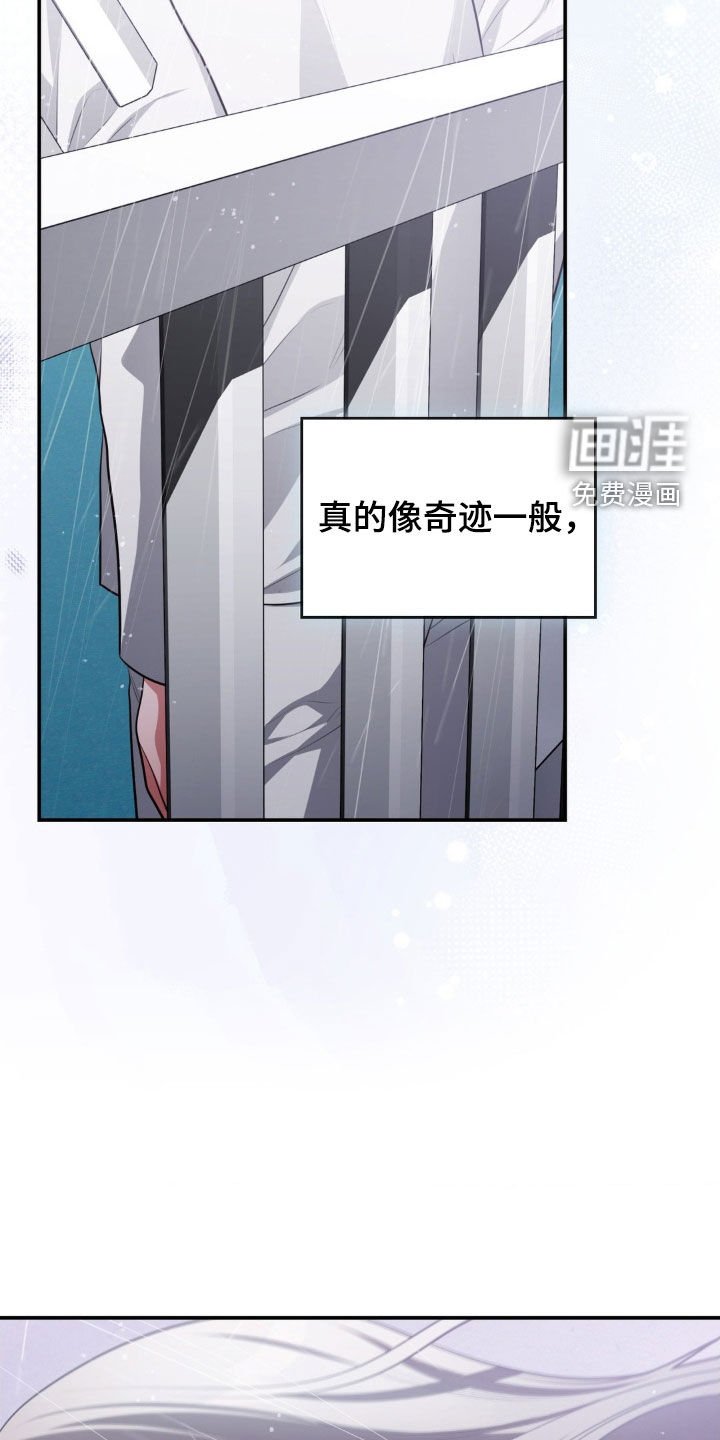 第75章：再次相遇