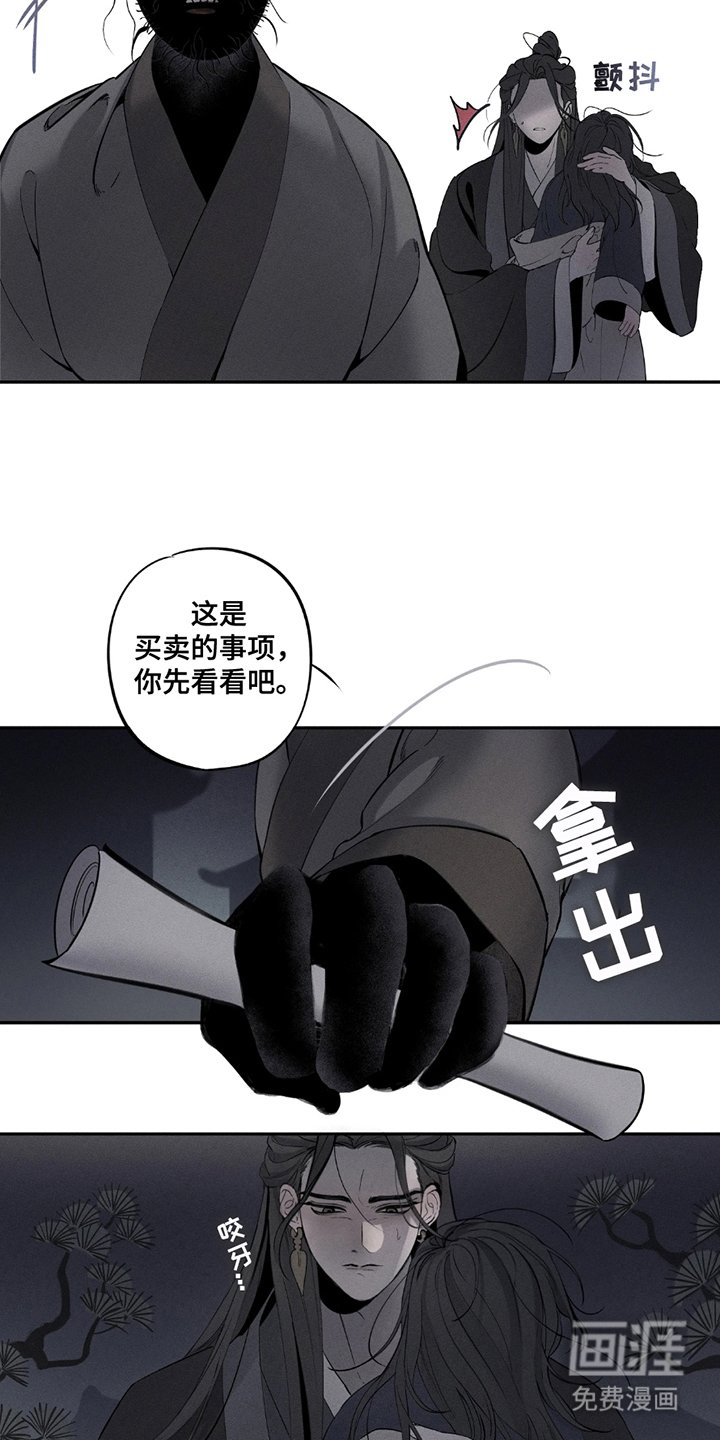第3章：五则
