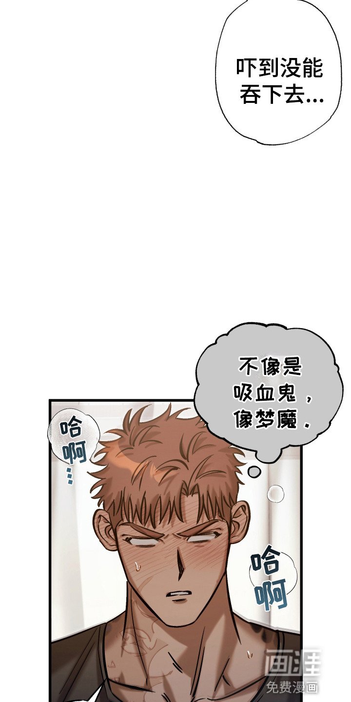 第14章：和他回家