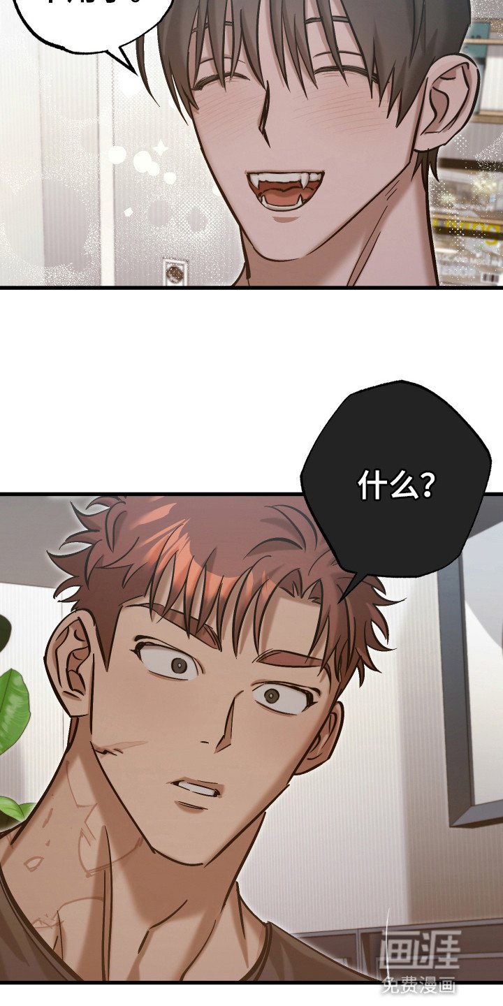 第14章：和他回家