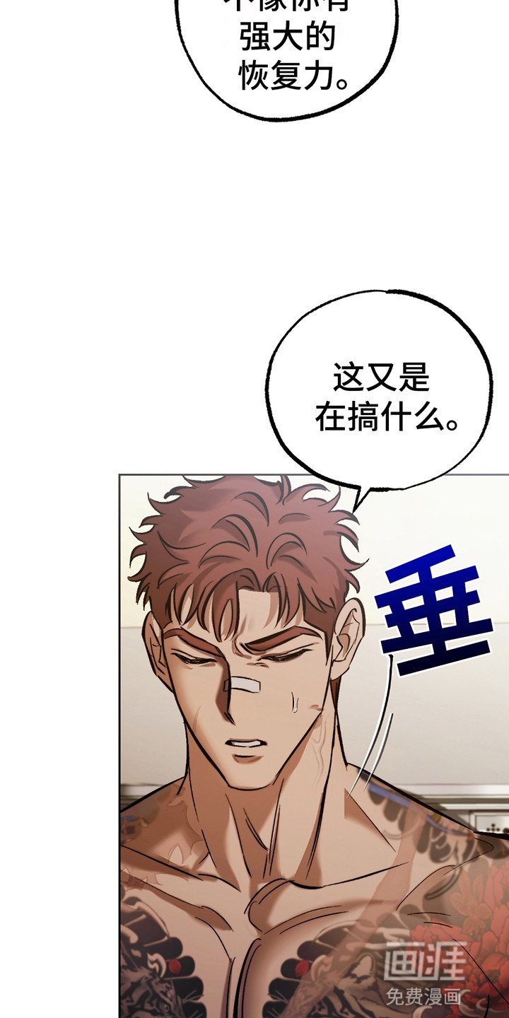 第8章：我需要你