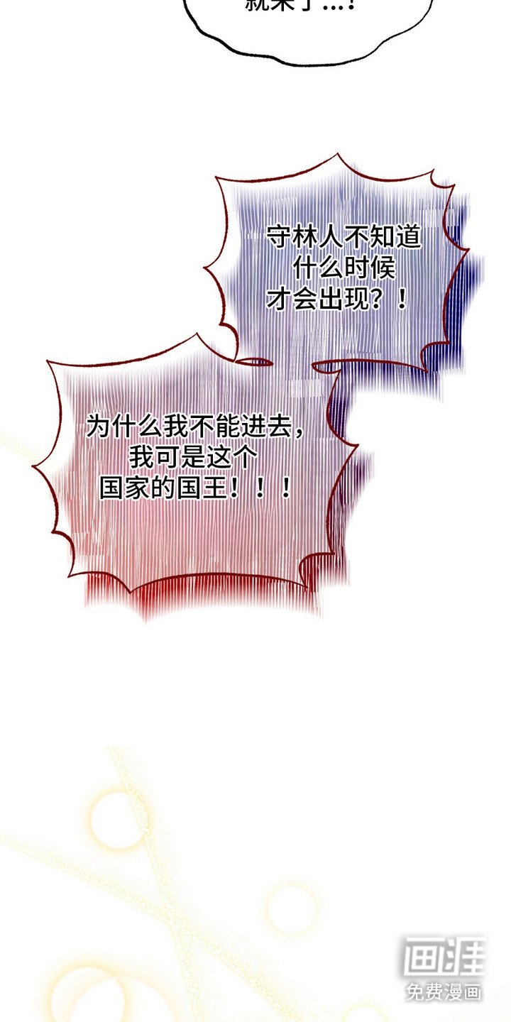 第2章：精灵的祝福