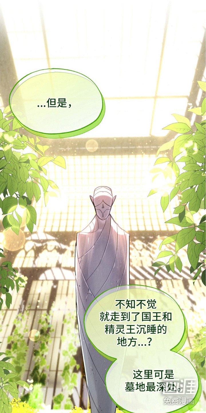 第2章：精灵的祝福