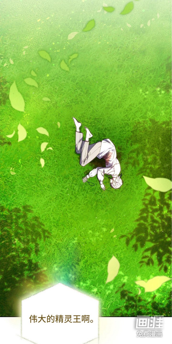 第2章：精灵的祝福