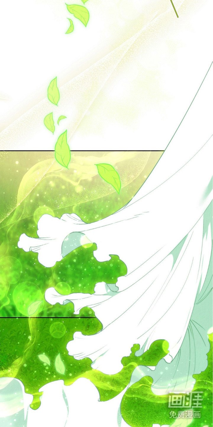 第2章：精灵的祝福