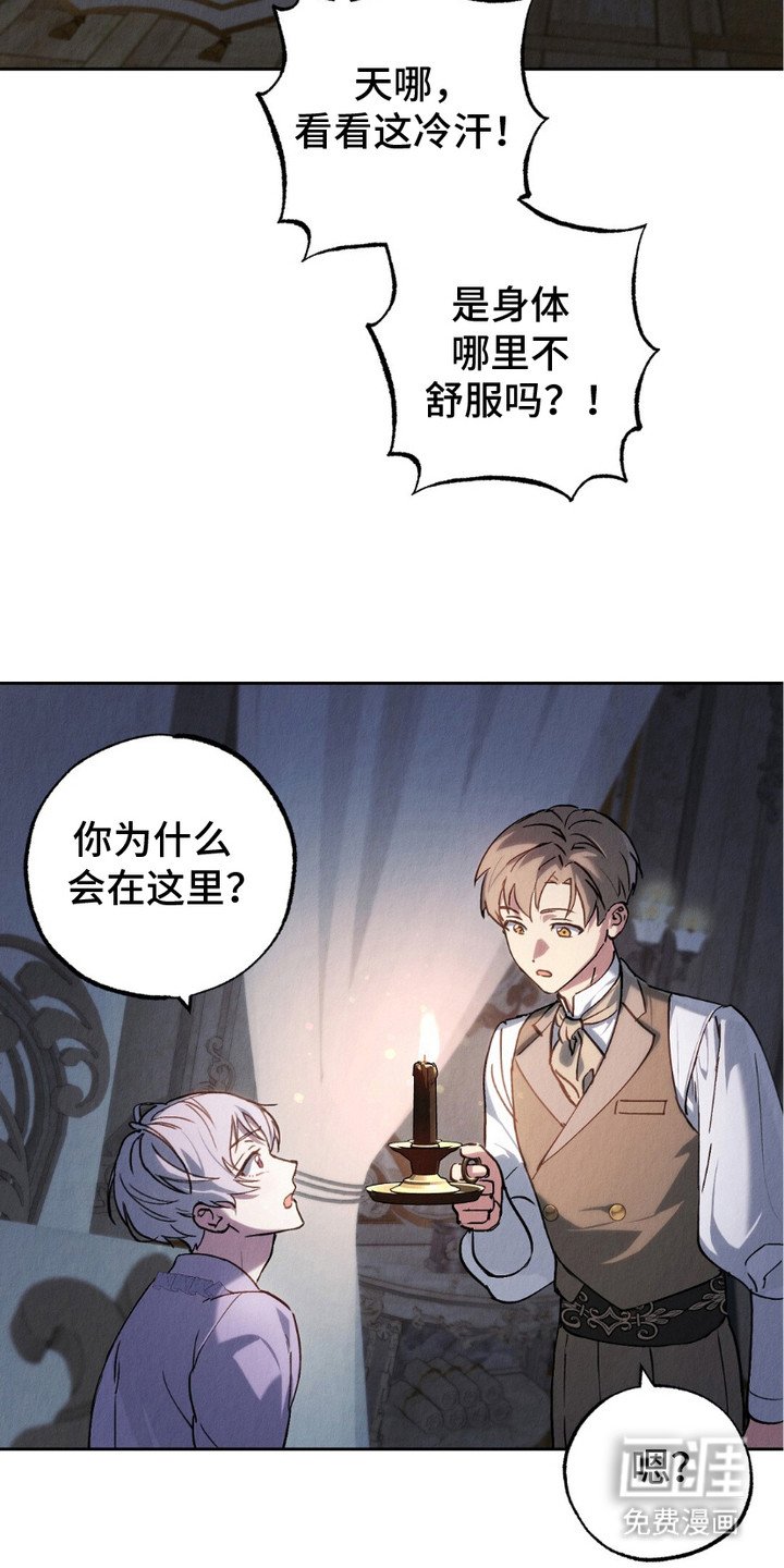 第3章：不是梦